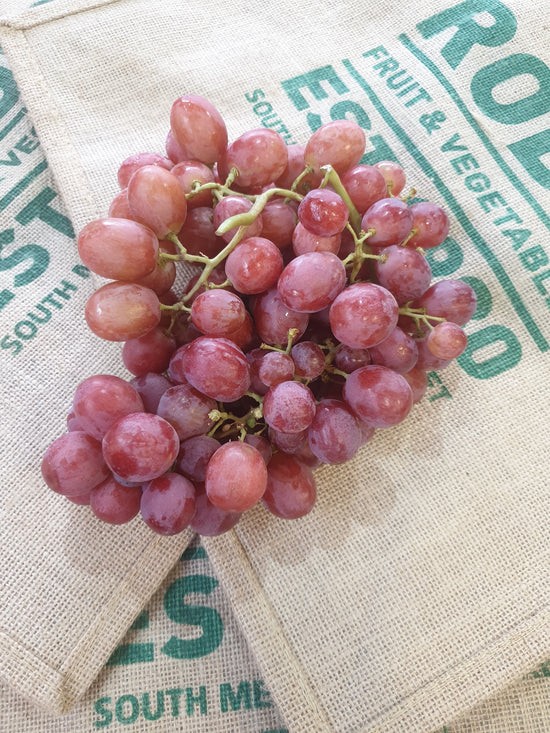 Fruit