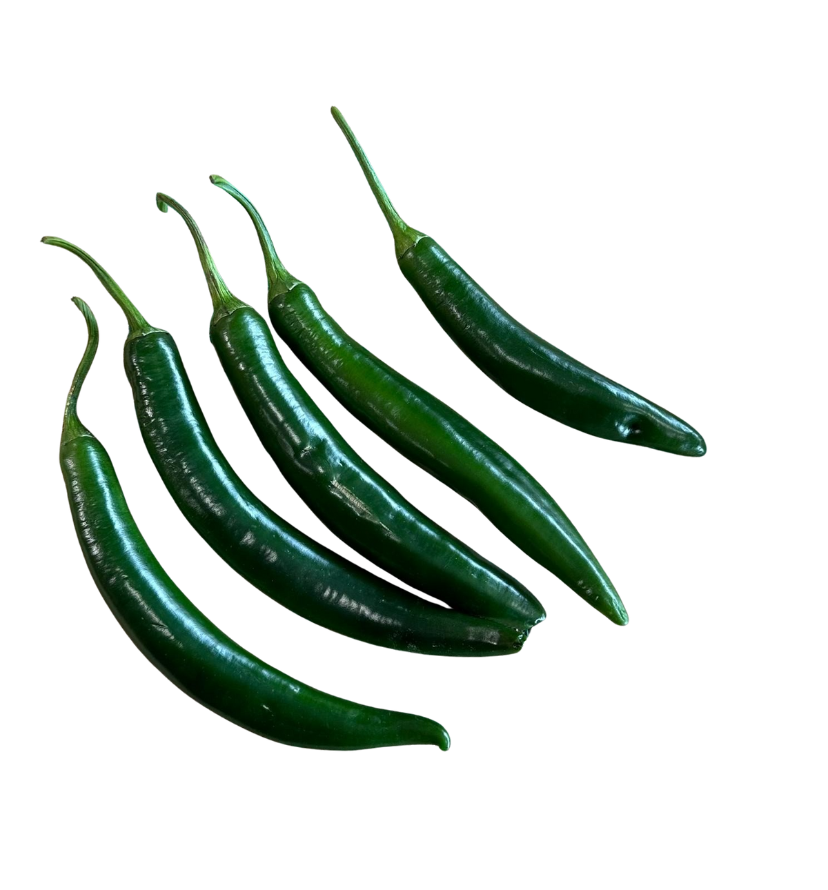 Chilli- Green Large (Each)