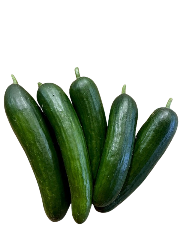 Cucumbers, Lebanese 1kg special