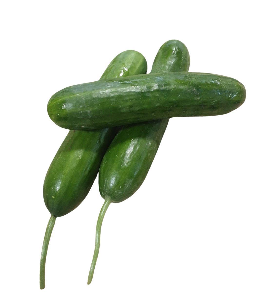Cucumbers, Lebanese (each) Premium
