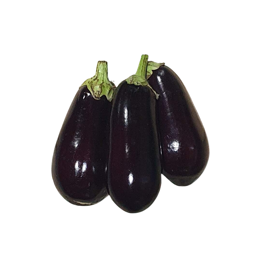 Eggplant- Large, (Each) Top Quality