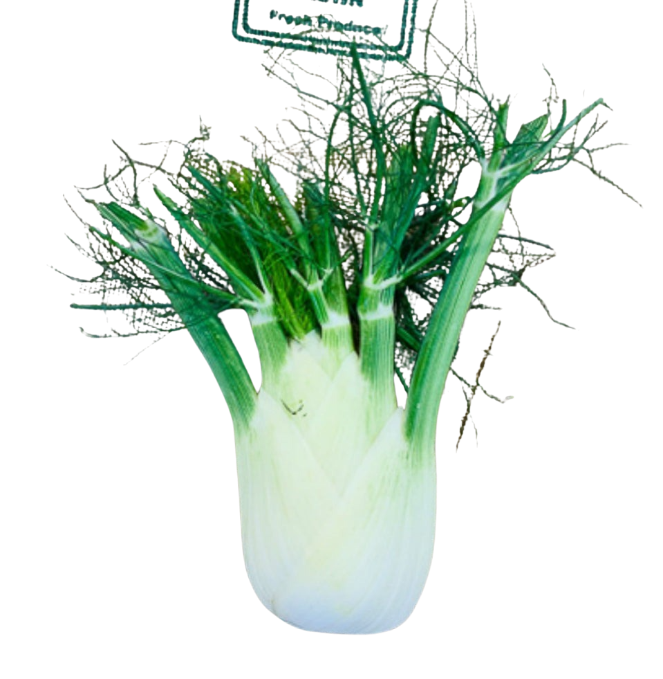 Fennel - each