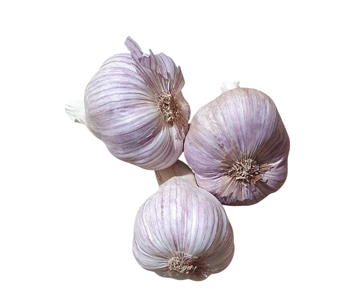 Garlic (each)