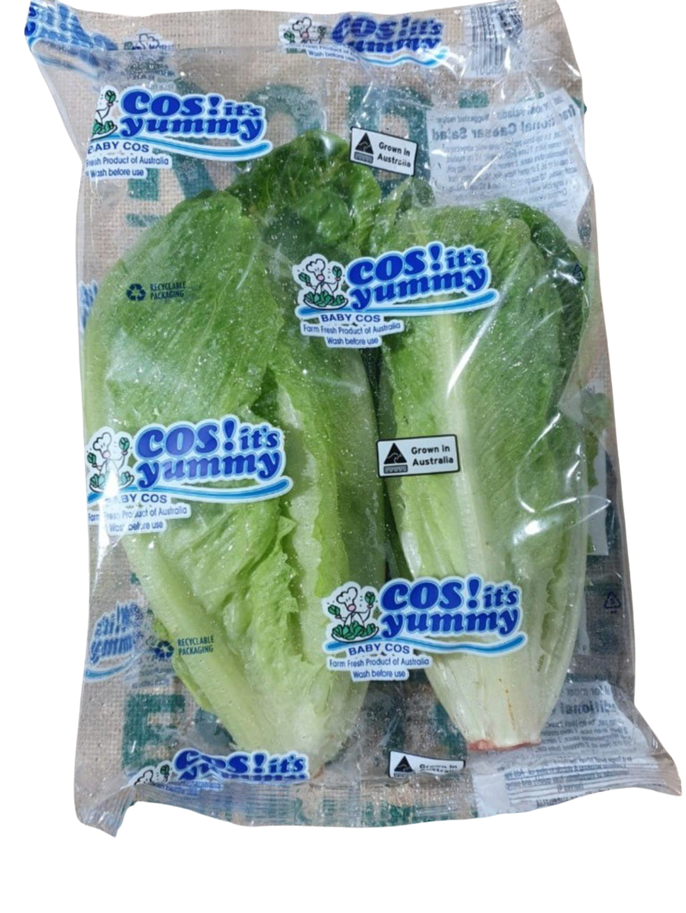 Lettuce- Cos 2 Pack (each)