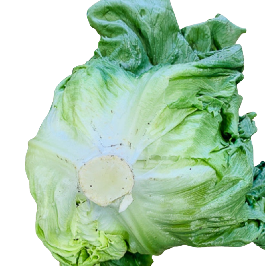 Lettuce, Iceberg (each)