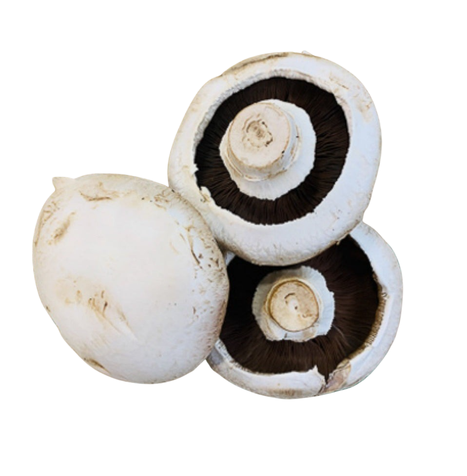 Mushrooms - White Flat (each)