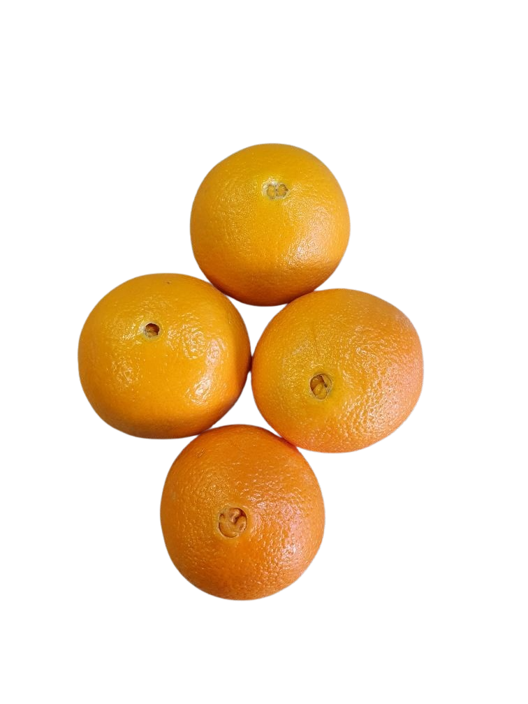 Oranges - Valencia (each)