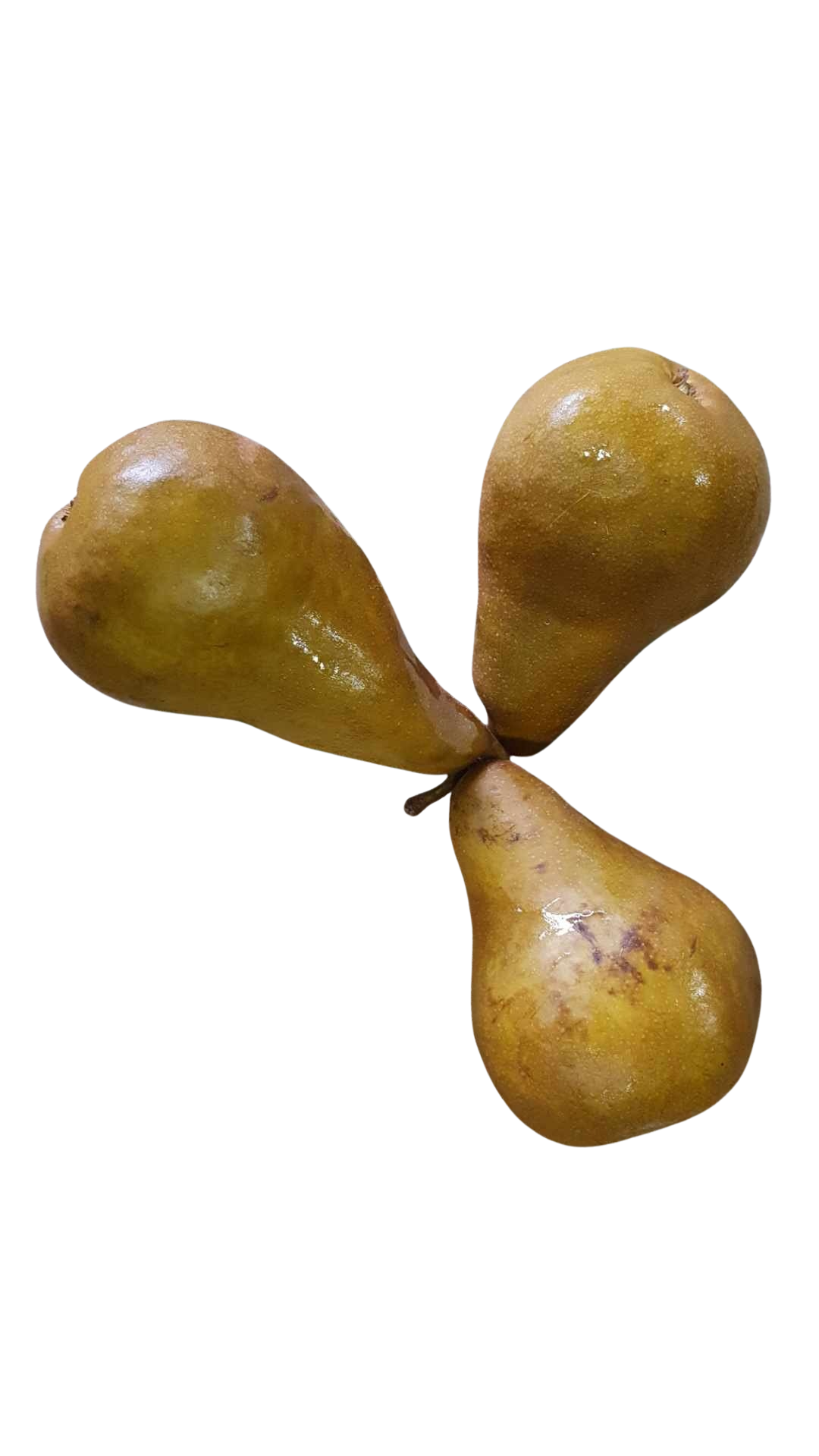 Pears, brown (each)