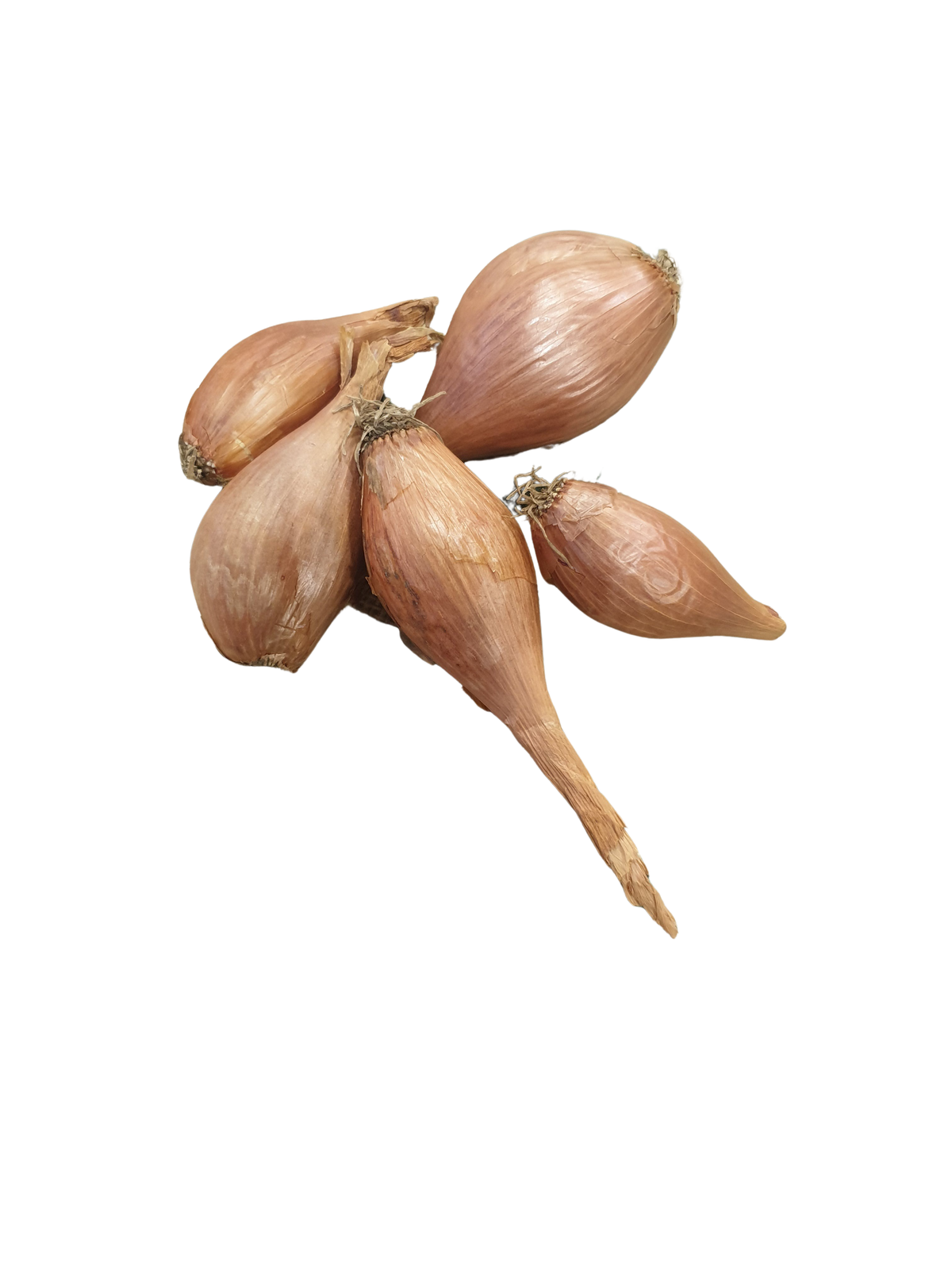Shallots- 250g