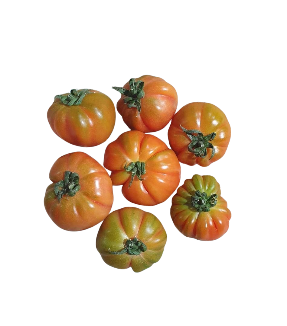 Tomatoes - Adelaide (1kg)