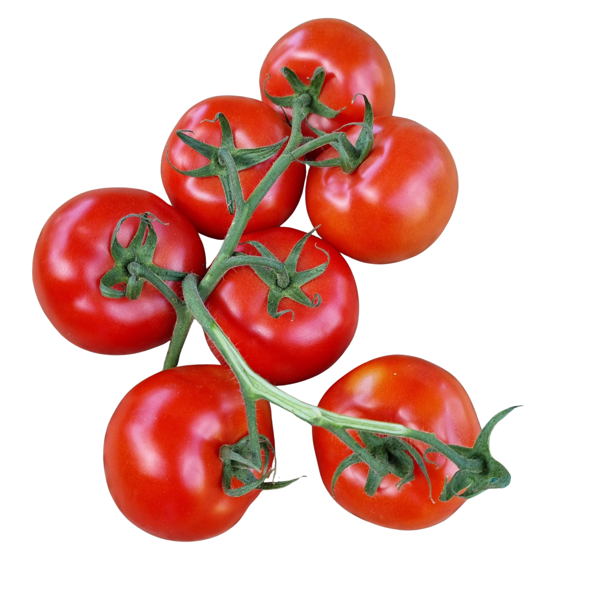 Tomatoes, Truss (1KG)
