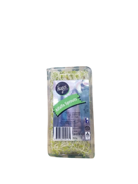 Alfalfa -Sprouts ( pack)