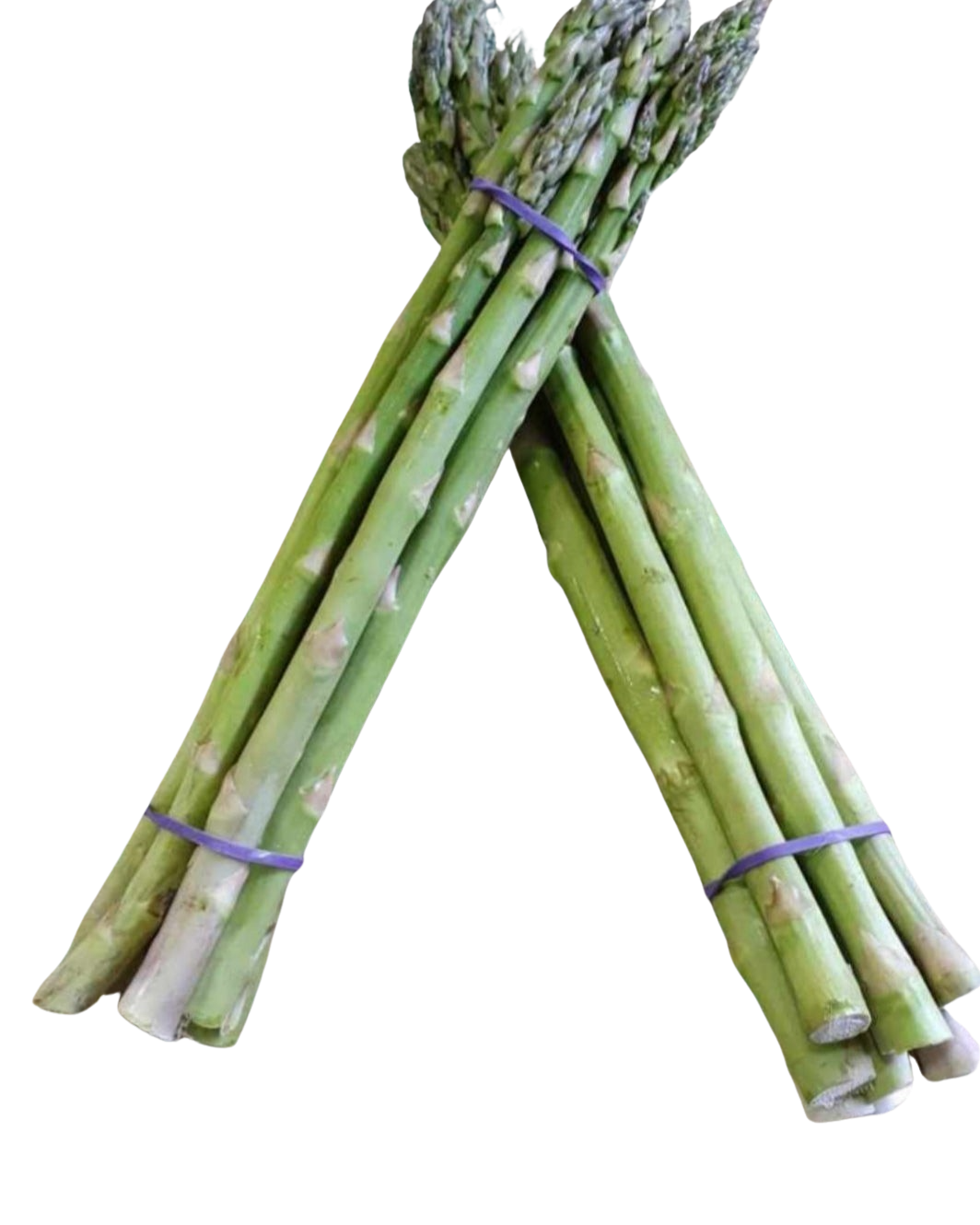 Asparagus - Premium Each