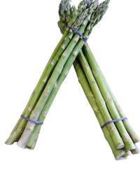 Asparagus - Premium Each