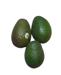 Avocado- Hass Large (each)