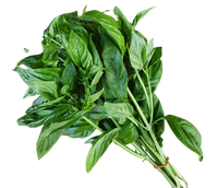 Basil- Each(Fresh)