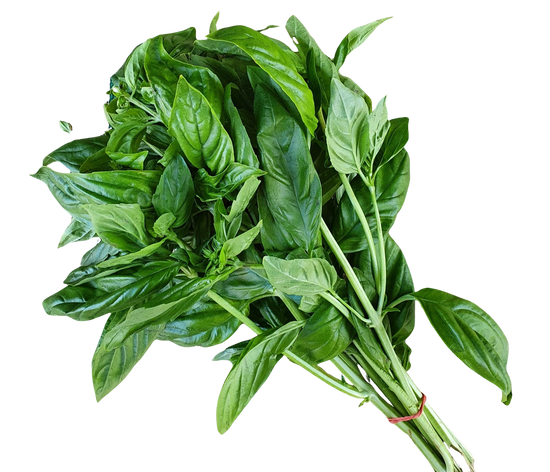 Basil- Each(Fresh)