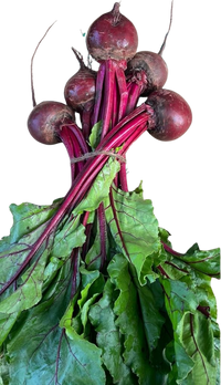 Beetroot, large (bunch of 5)
