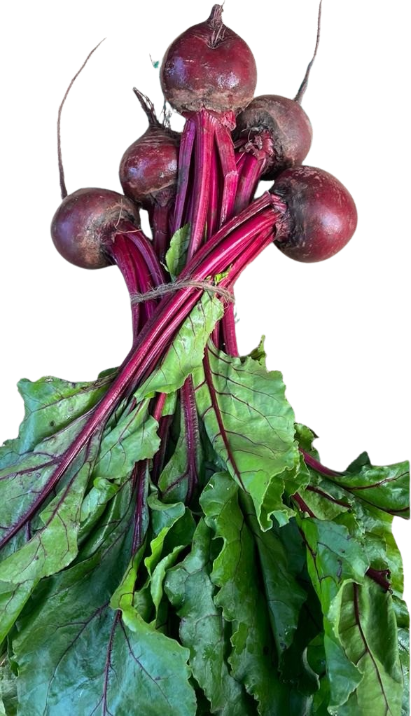 Beetroot, large (bunch of 5)