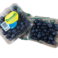 Blueberries - JUMBO