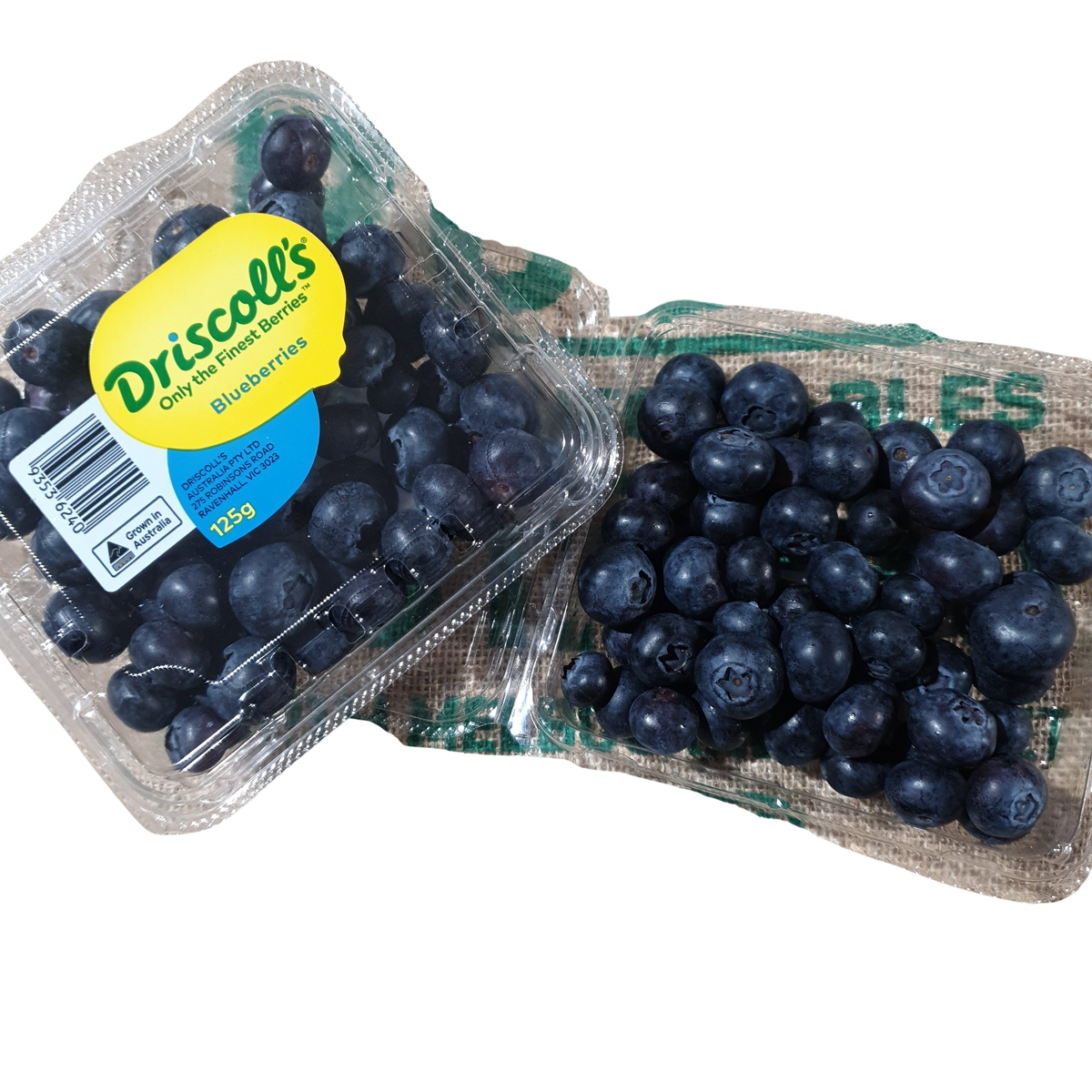 Blueberries - JUMBO