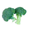 Broccoli- 2kg for $9
