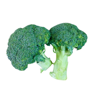Broccoli- 2kg for $9