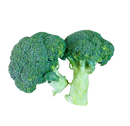 Broccoli- (each)