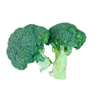 Broccoli- (each)
