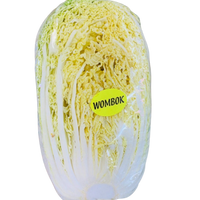 Cabbage, Chinese (half)