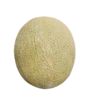 Cantaloupe ,(each) Large Premium