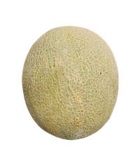 Cantaloupe ,(each) Large Premium