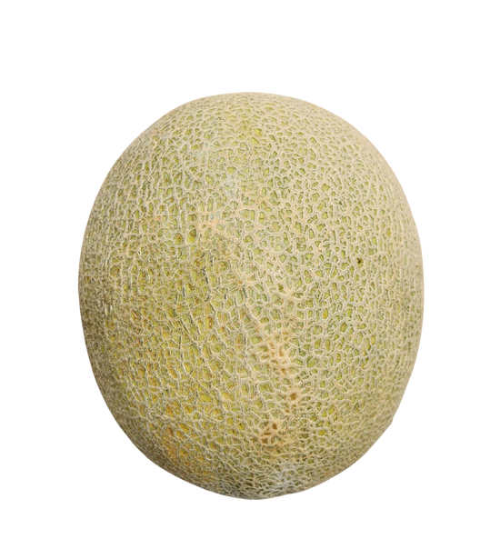Cantaloupe ,(each) Large Premium