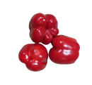 Capsicum, Red, each