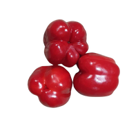 Capsicum, Red, each