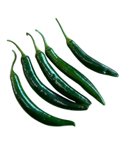 Chilli- Green Large (Each)