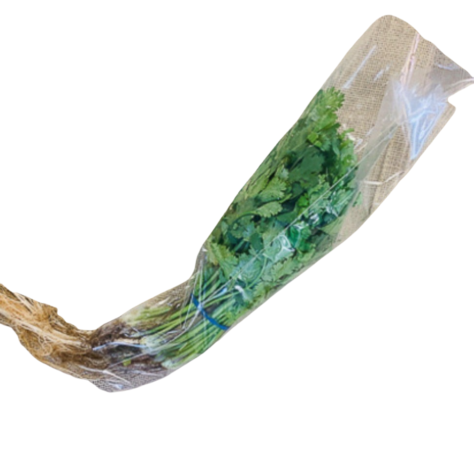 Coriander, Bunch