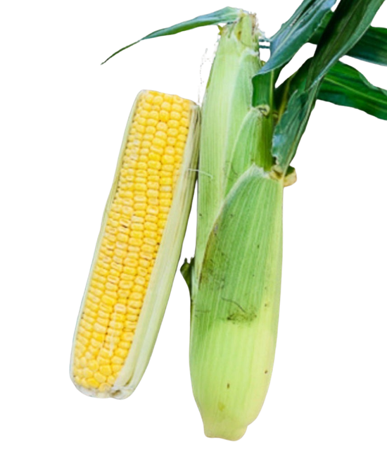 Corn- (3FOR $5)