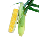 Corn , each