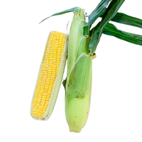 Corn , each