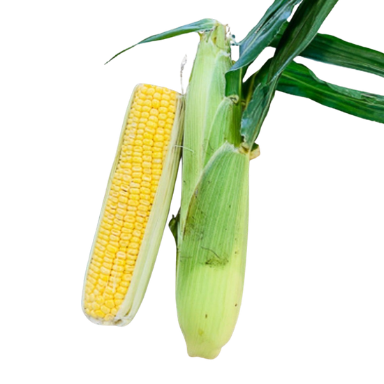 Corn , each