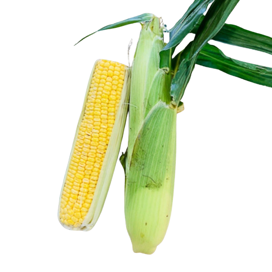 Corn , each