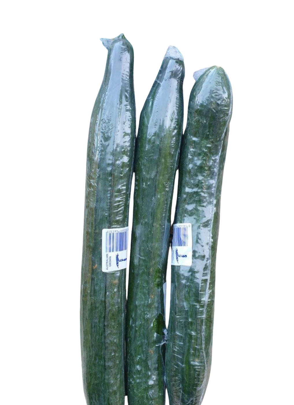 Cucumber- Burpless 3 for $5   Special!