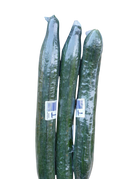 Cucumber- Burpless 3 for $5   Special!