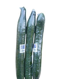 Cucumber- Burpless 3 for $5   Special!