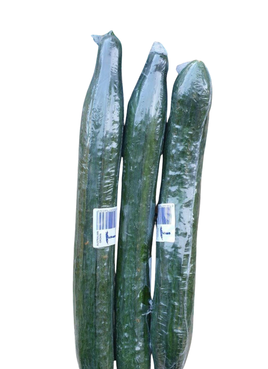 Cucumber- Burpless 3 for $5   Special!