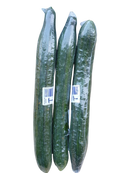 Cucumbers- Burpless , each
