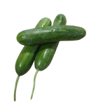 Cucumbers, Lebanese (each) Premium