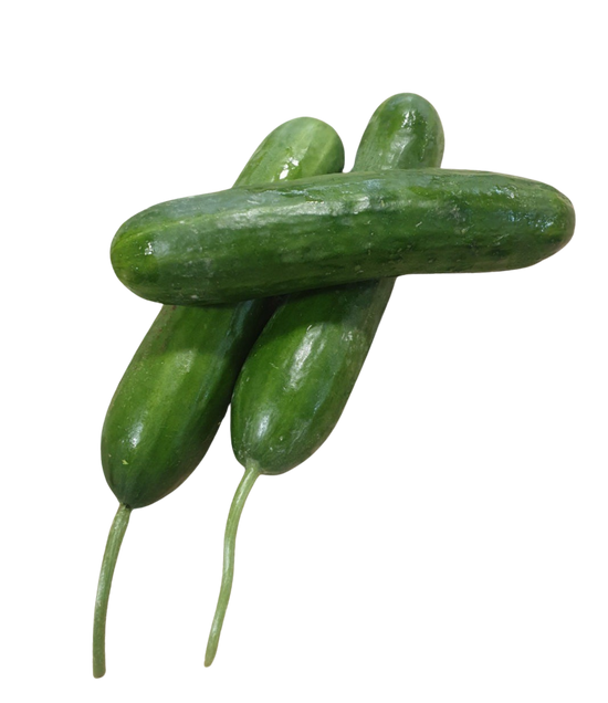 Cucumbers, Lebanese (each) Premium