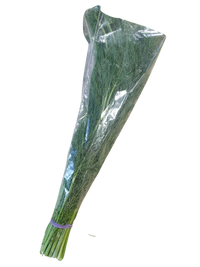 Dill- Fresh Herbs